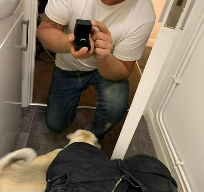 "The Toilet Proposal And A Post About All This On Facebook - So Classy"