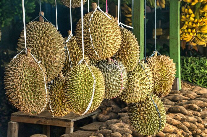 17. Eating Durian Fruit In Public (Thailand, Japan, Hong Kong, And Singapore)