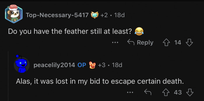 OP didn't even get to keep the feather after that traumatic experience.