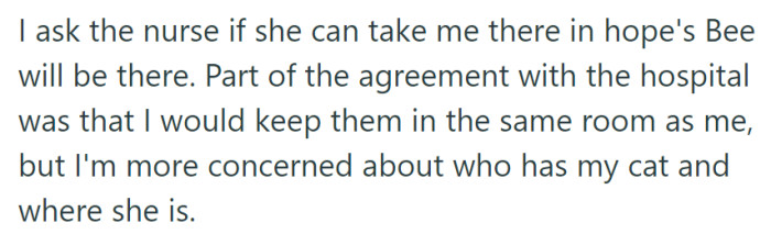 Seeking her missing cat Bee, she requested the nurse's assistance in locating the girl's new room, prioritizing the cat's well-being over the initial room agreement.