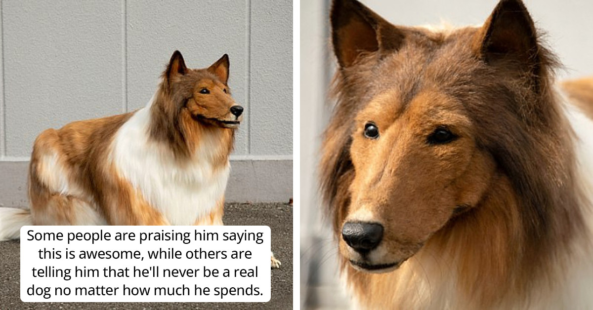 Man Spends $15,000 On An Ultra Real Dog Costume So He Can Live Like A Collie