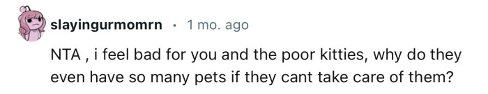 “NTA…I Feel Bad for You and the Poor Kitties.”