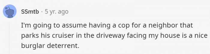 16. No burglar would take a stupid risk in this situation