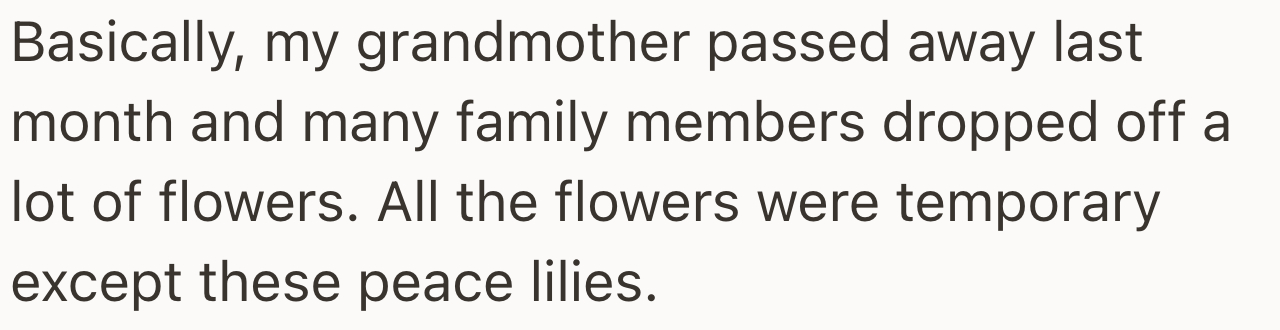 OP's grandmother recently passed away, and family members brought many flowers. All the flowers were temporary except for the peace lilies.