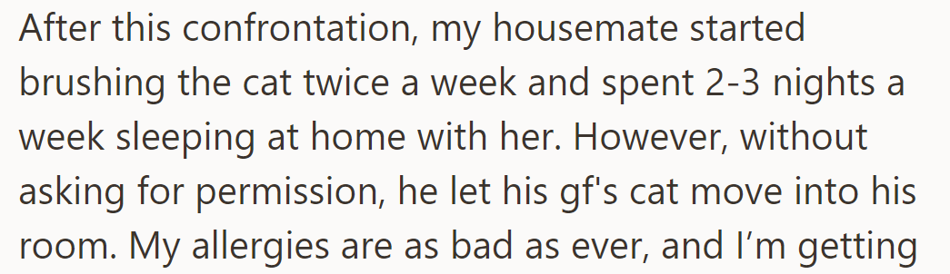 After the confrontation, OP's housemate brushed the cat, spent more nights at home, and moved in another cat.