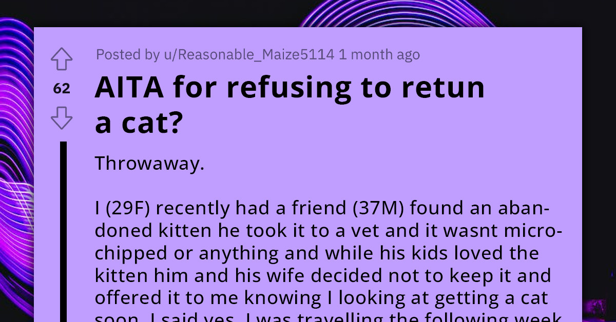 Two Friends Go Toe-To-Toe Over The Custody Of A Rescued Cat