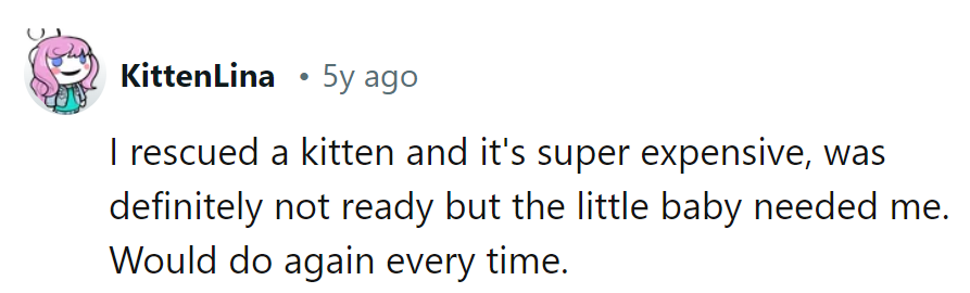 Looks like we've got a feline superhero in the making, rescuing kittens one bank account at a time!