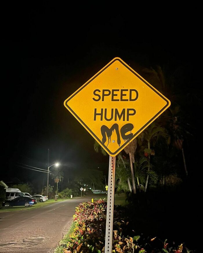 3. Speed Hump Me!
