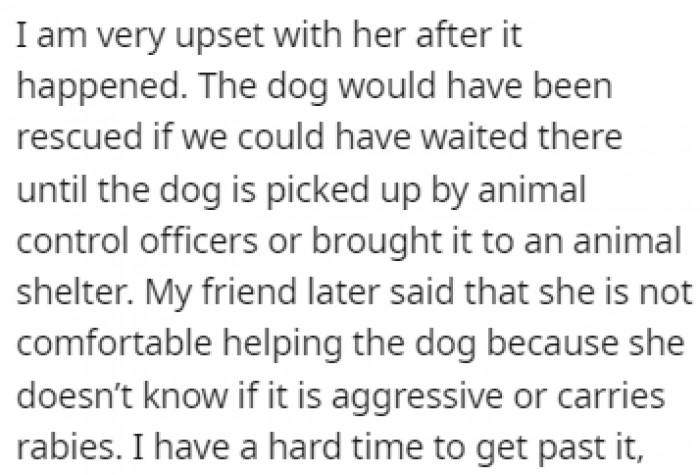 Her friend said that there wasn't much they could do, seeing as how the dog could be dangerous or carrying diseases