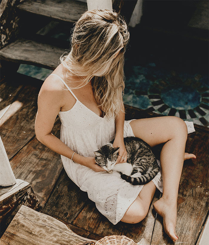 Living the Life with Cute Cats Around