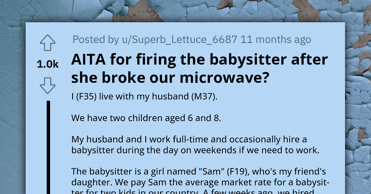 Redditor Asks If She Is In The Wrong For Firing A Babysitter After She Broke Their Microwave And Didn't Want To Replace It