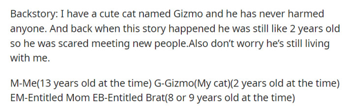 At 13 years old, introducing their shy 2-year-old cat, Gizmo, to an entitled mom and her 8 or 9-year-old child proved to be an unsettling experience for both OP and their feline friend.