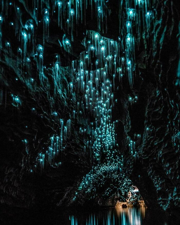 "Unbelievable Sight At Glowworms In Waitomo Caves, New Zealand"