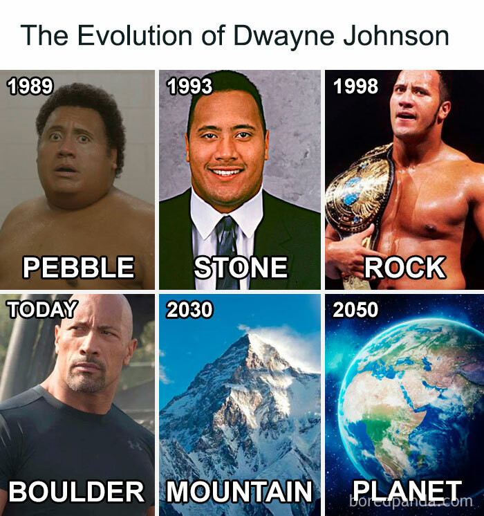 7. The Rock