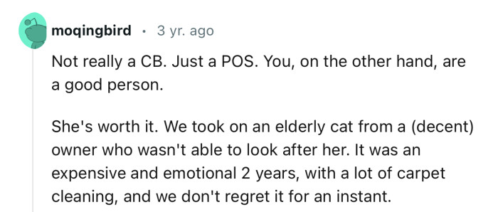 The Cat Was Definitely Worth Every Penny. Thanks to OP for Giving Her a New Life