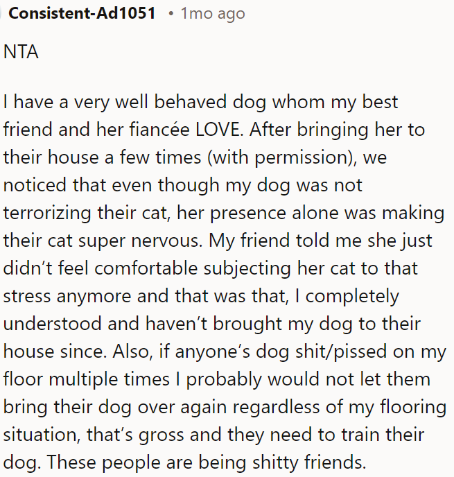 If their dog repeatedly dirties the floor, OP should reconsider letting them visit.