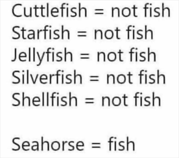 11. You've got to be kidding me