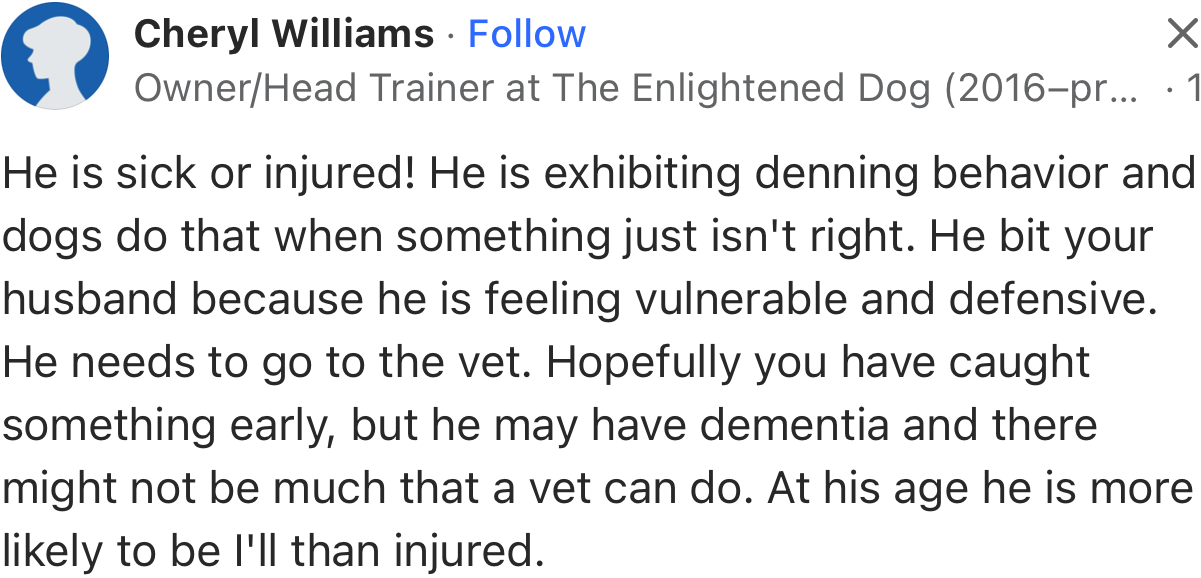 “He is exhibiting denning behavior, and dogs do that when something just isn't right.”