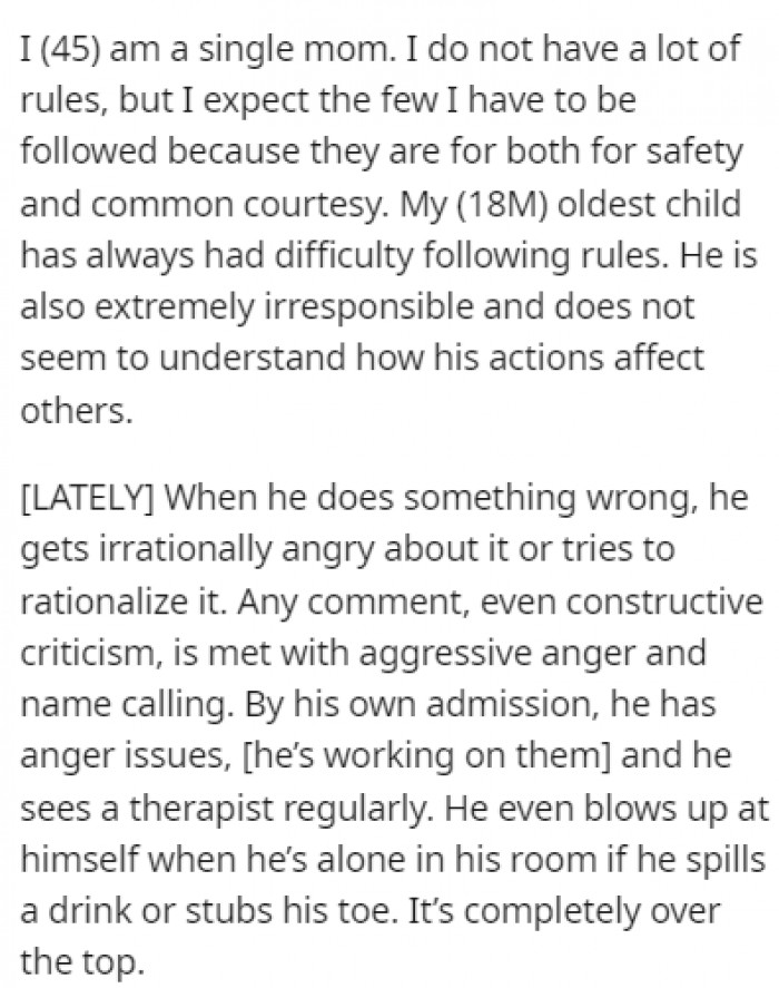 OP is a single mom and her oldest child always had difficulty following her rules