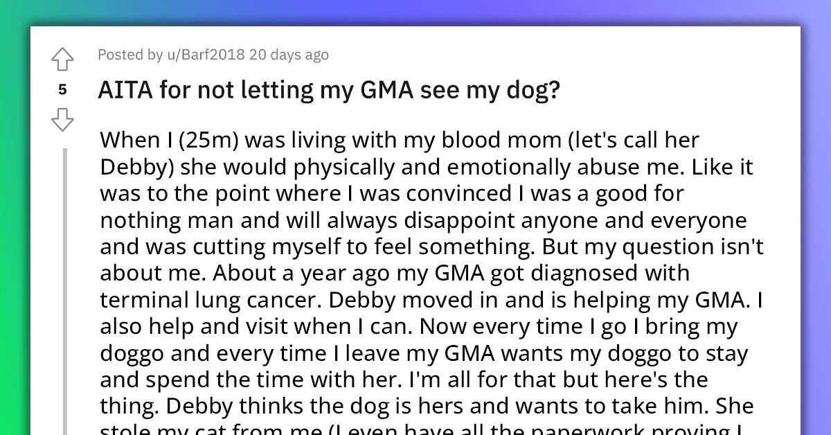 Redditor Doesn't Want To Take His Dog To Grandma's House Out Of Fear His Abusive Mom Would Steal It, Just Like She Stole His Cat