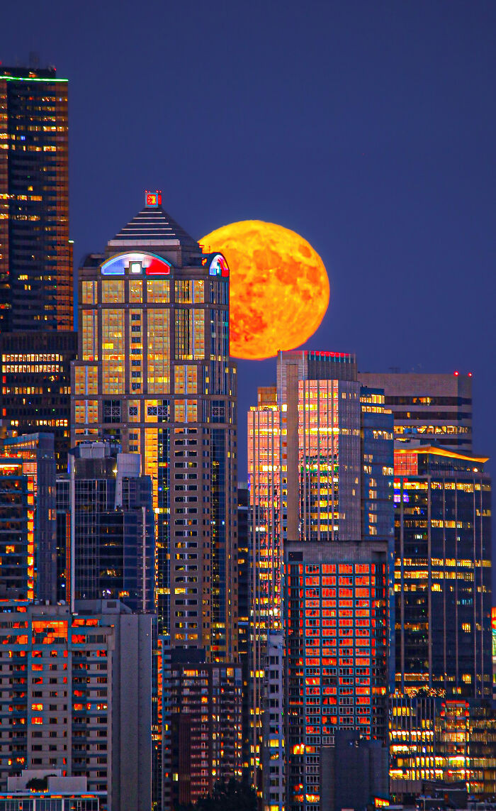 “Golden Moonrise Over Seattle” By Aj Smadi