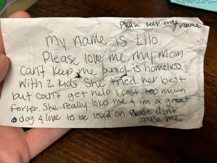 The note that Lilo was carrying with her is heart-wrenching
