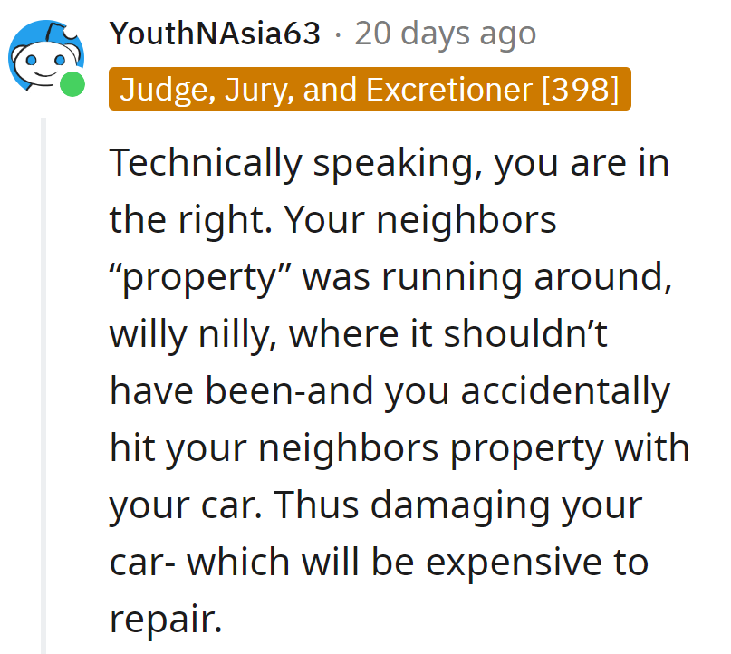 Neighbor's property went joyriding, met the car, and now the wallet's in for a costly collision.
