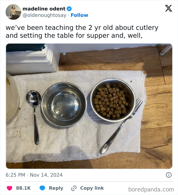 1. Hey, even dogs deserve fine dining