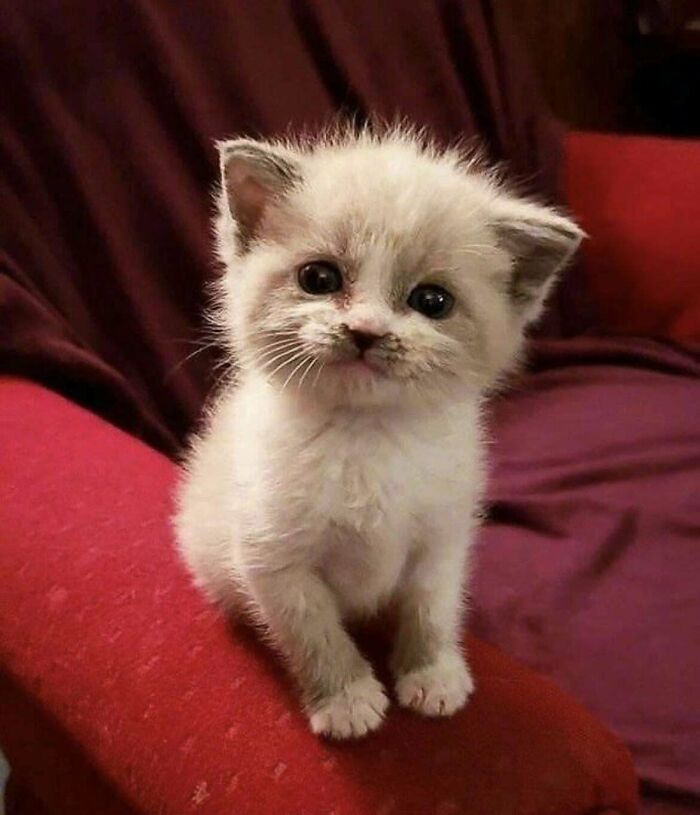 34. Blessed Everything