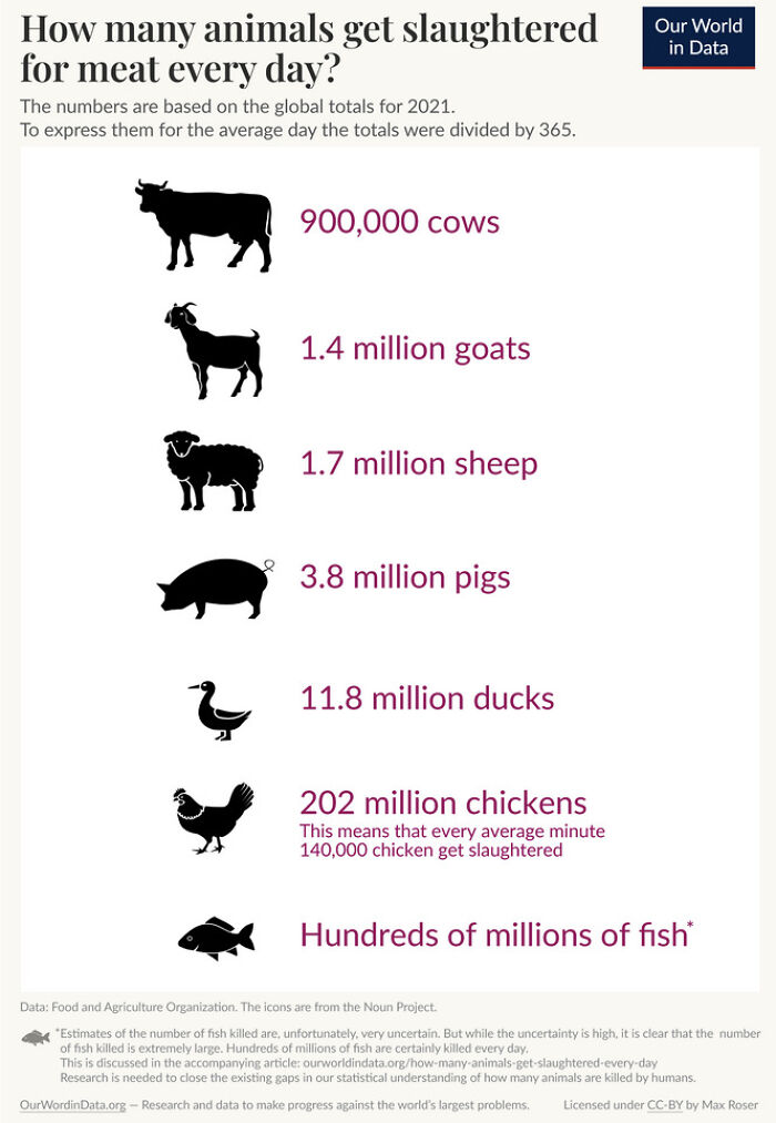 37. A Cool Guide To The Number Of Animals Slaughtered Per Day On A Global Scale