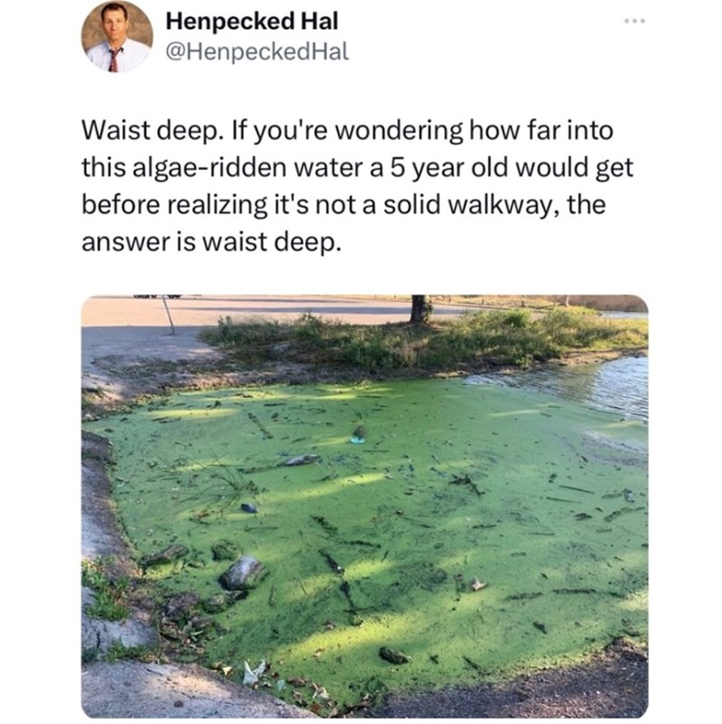 4. This floor is most definitely not lava.