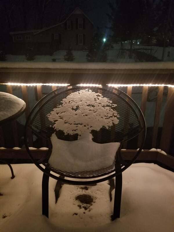 43. The melting snow on this chair looks like a tree.