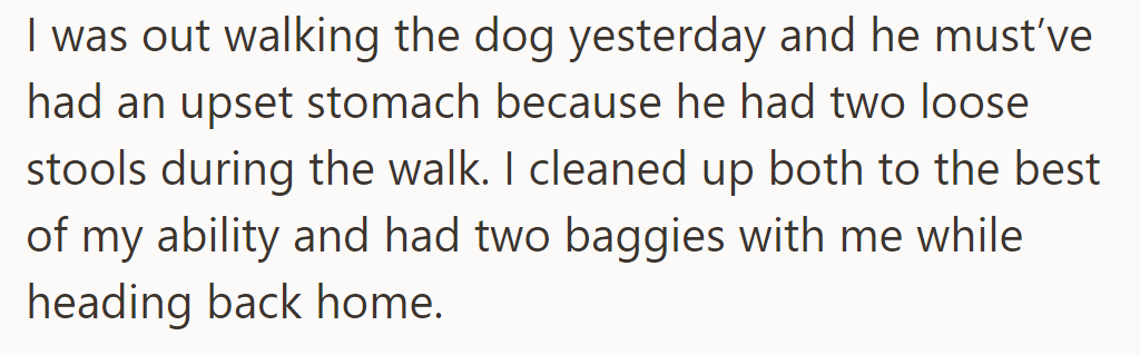 The dog had an upset stomach and had two loose stools on a walk; OP cleaned up promptly with baggies.
