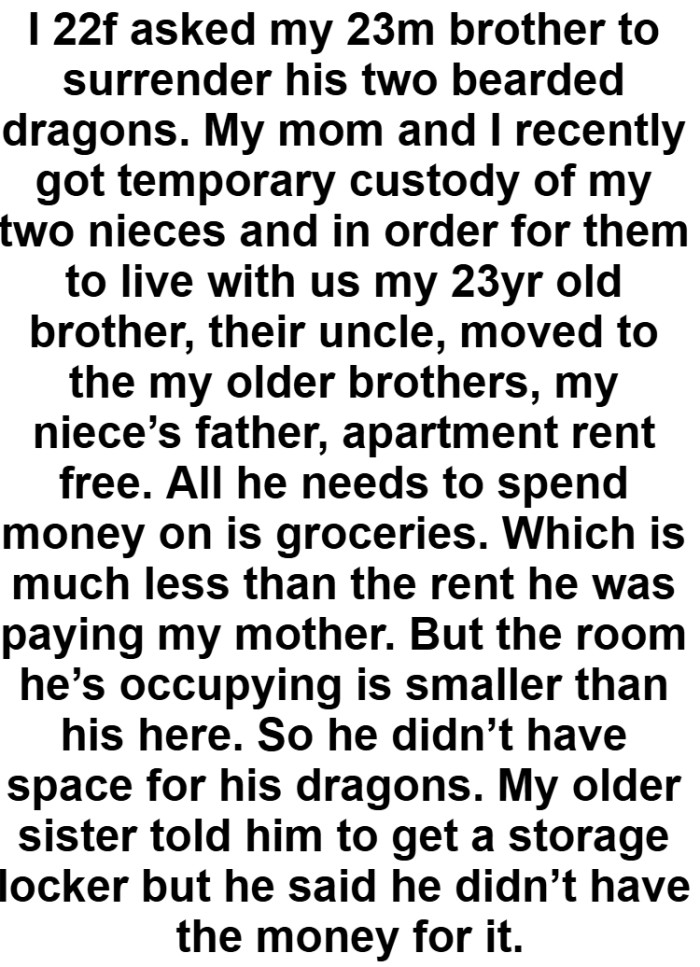 The OP and Her Mom Got Temporary Custody of Her Two Nieces, and the Brother Had to Move