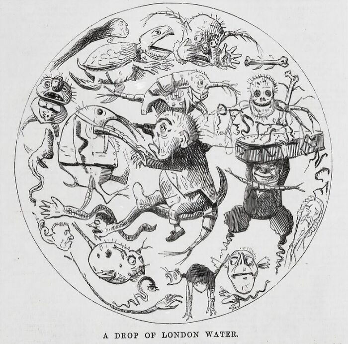 "'A Drop Of London Water' Crammed Full Of Germs And Unpleasant Things. 1850"