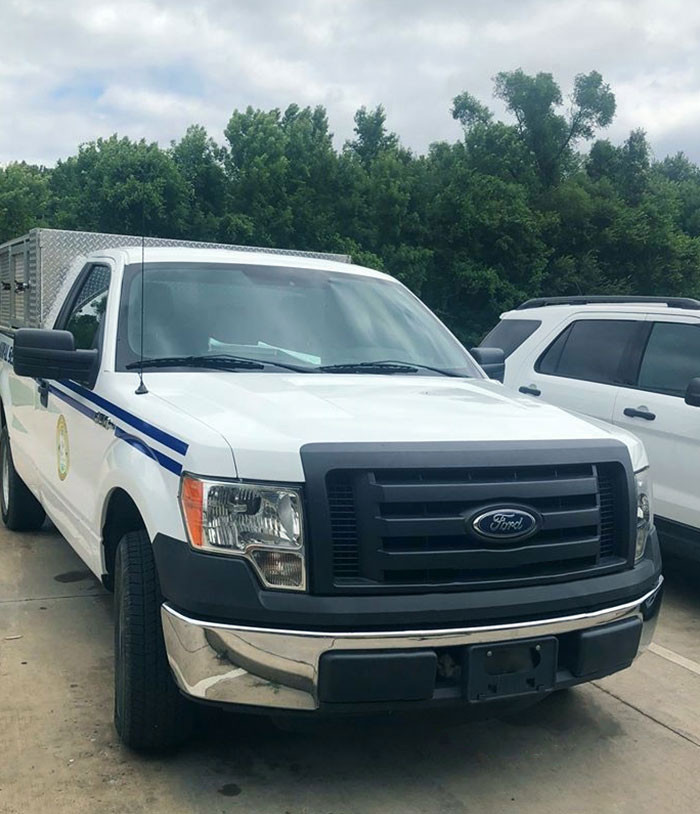 33. The Best Place To Hide From Animal Control Is Right Under Their Noses