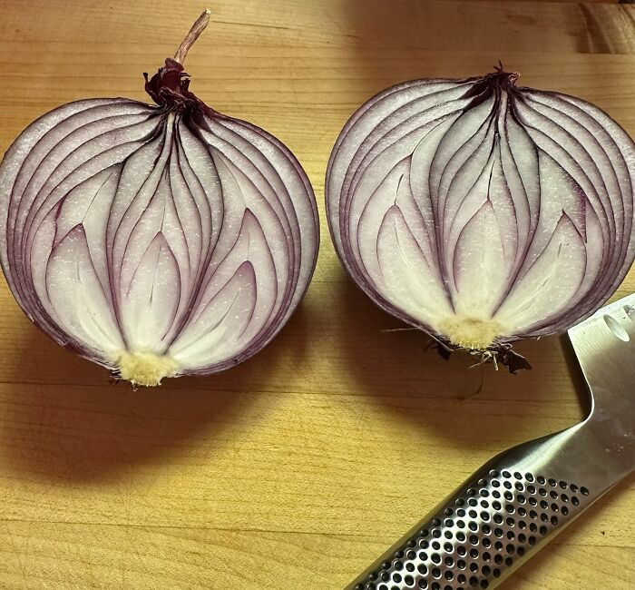 18. The interior of their red onion resembles the appearance of a lotus flower.