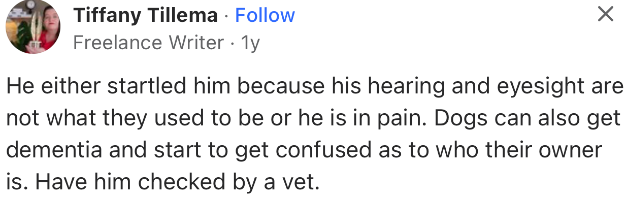 “Dogs can also get dementia and start to get confused as to who their owner is. Have him checked by a vet.”