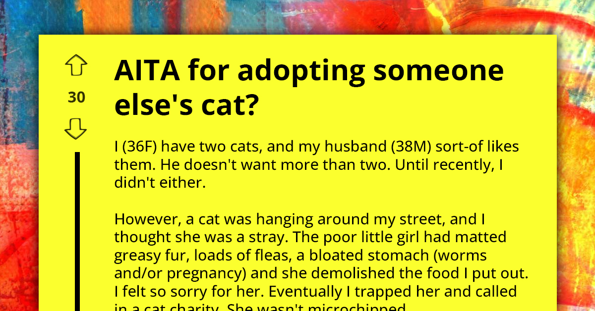 Woman Accused of Stealing Neighbor's Neglected Cat Ignites Debate on Animal Welfare and Ownership Ethics