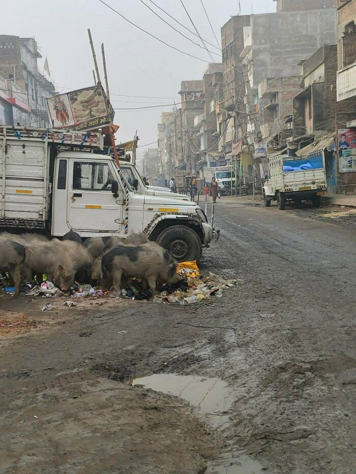 Chhapra, Bihar, India