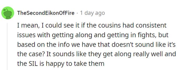 Exactly! Happy cousins and a willing SIL for childcare—what's not to like? Mom's concerns seem unfounded.