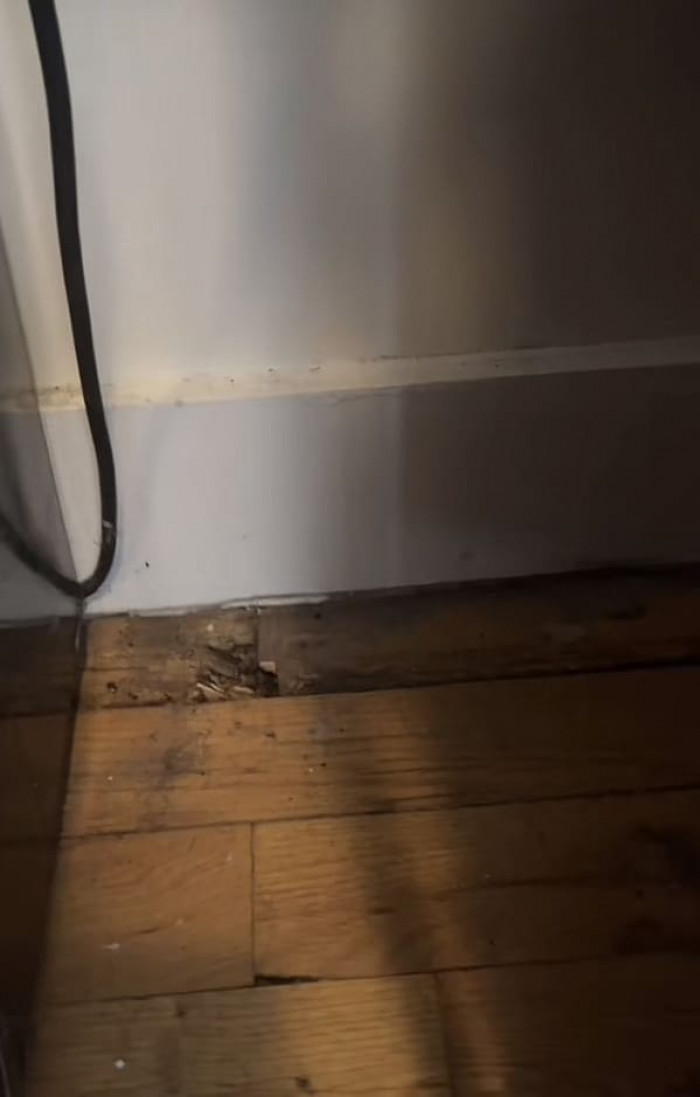 The floorboards are completely worn out and may even be rotting.