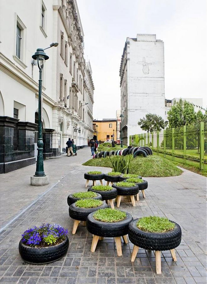 Plants thrive in them