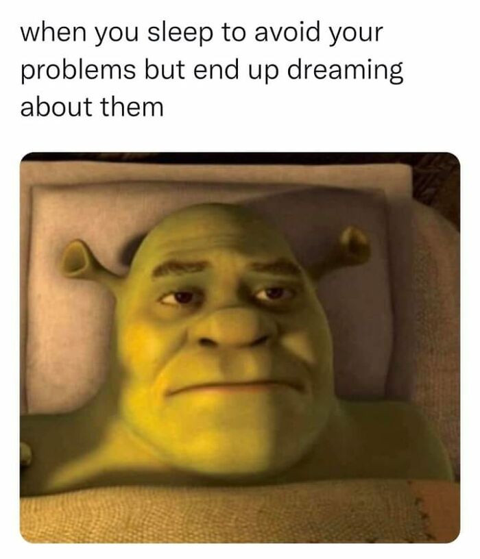 33. I had a dream...