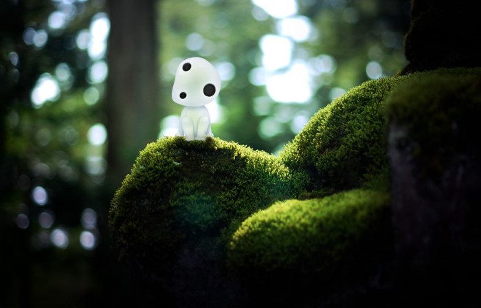 11. Kodama