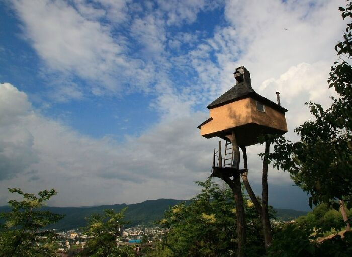 35. I Always Wanted A Treehouse