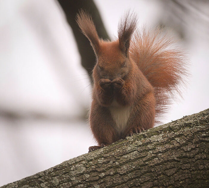 21. Sneezing with eyes open