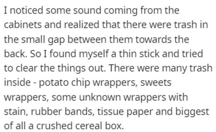 While washing the dishes, OP heard a sound coming from the cabinets