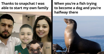 40 Hilarious Memes That Poke Fun At The Evolution Of Everything