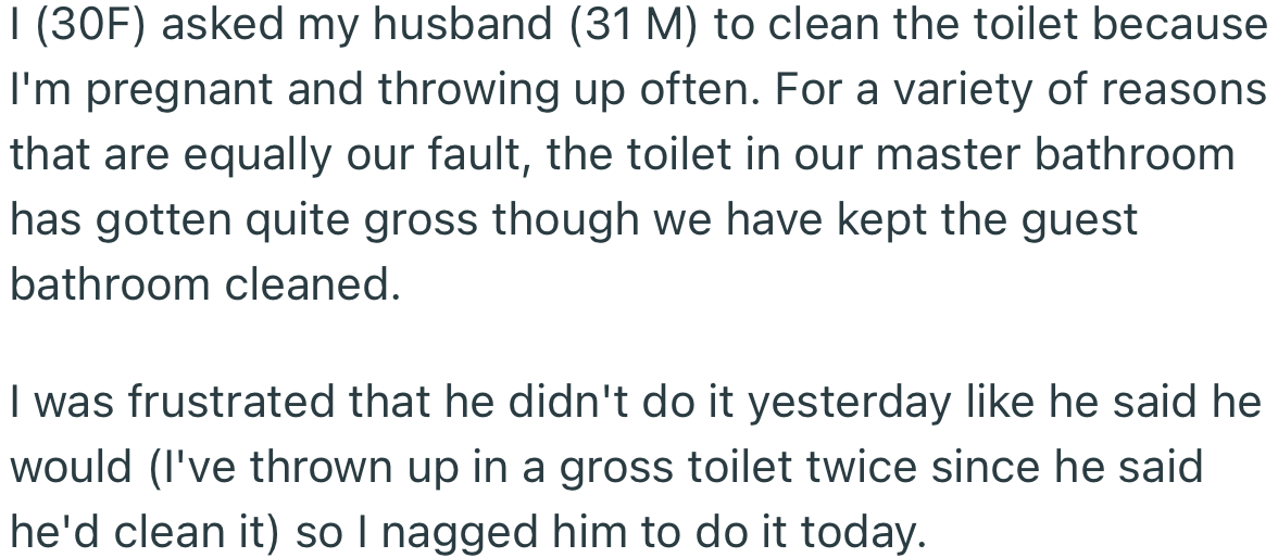 OP Asked Her Husband Several Times to Clean the Toilet, but He Kept Promising and Failing